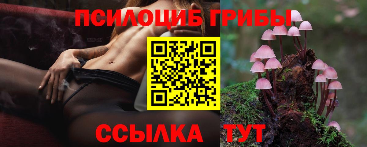 Галлюциногенные грибы Psilocybe Набережные Челны